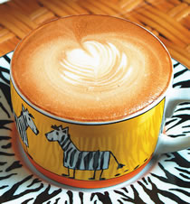 ������ŵ-��������������