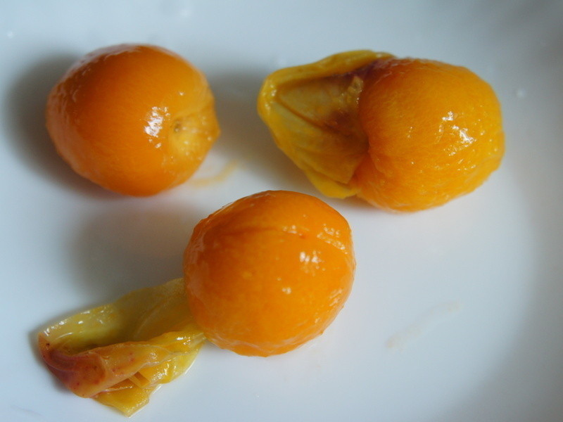 ���ҹ���������