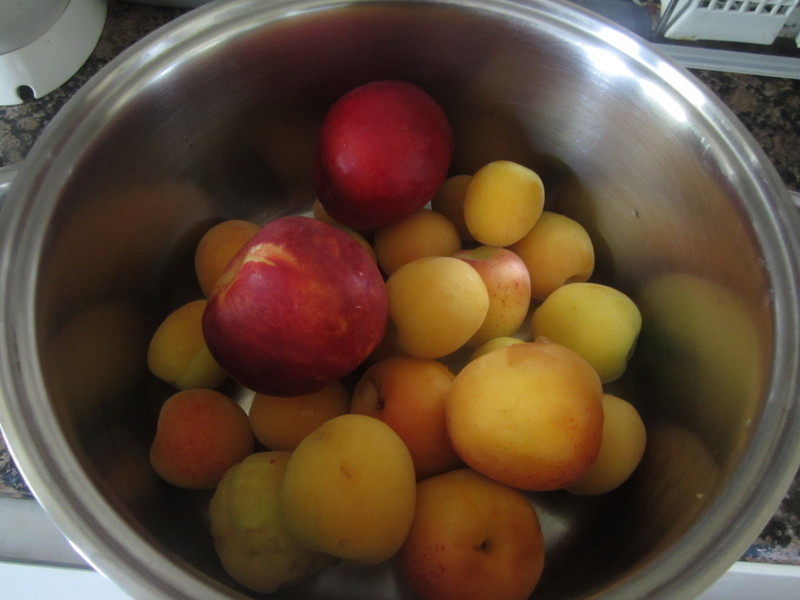 ���ƹ���1--���ҹ���������