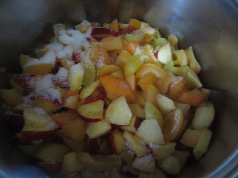 ���ƹ���1--���ҹ���������