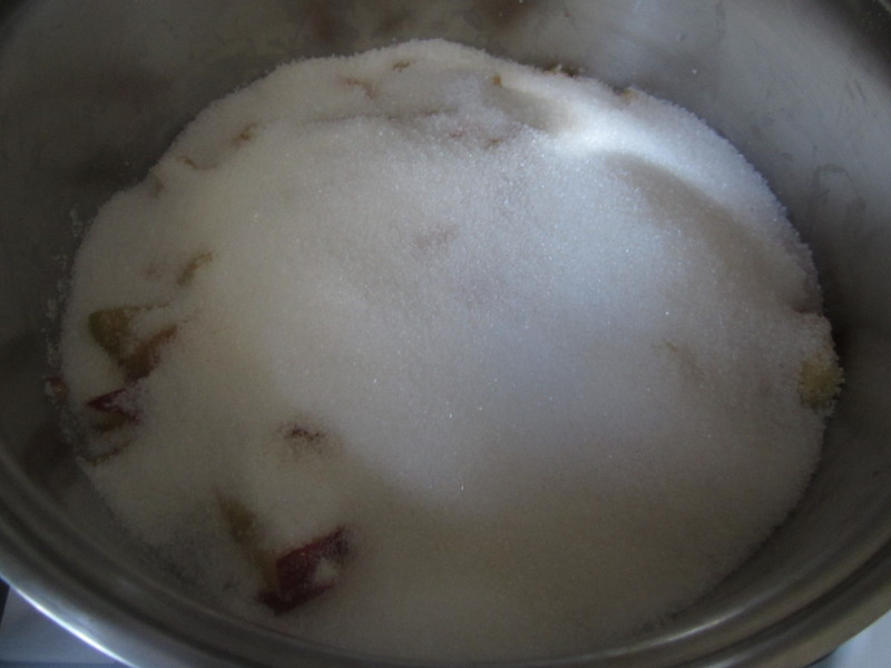 ���ƹ���1--���ҹ���������