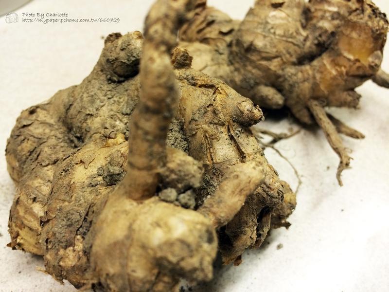 ��������޷�ů�����ս�Ƭ��������