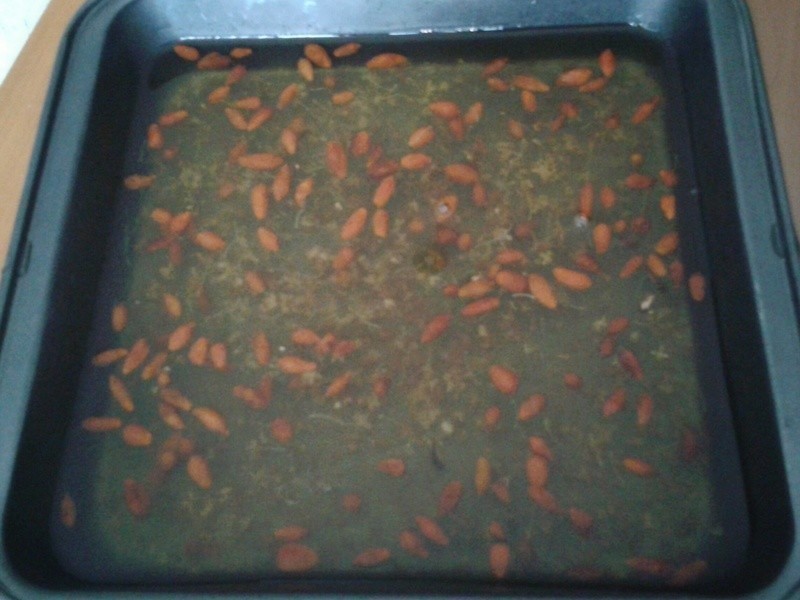 ��轹𻨸������