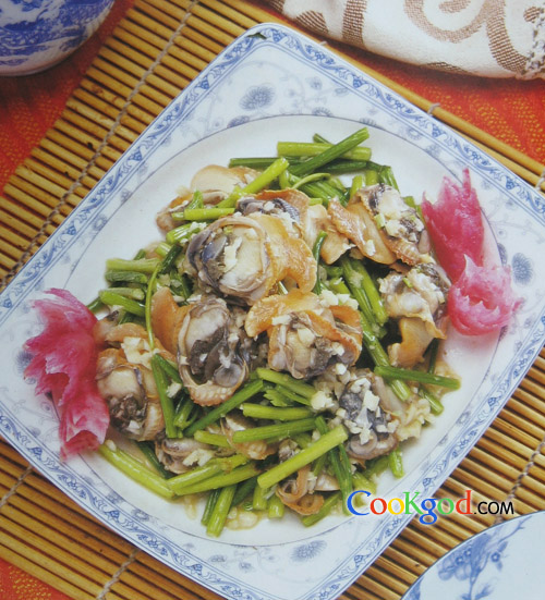 ��˰�ë�������