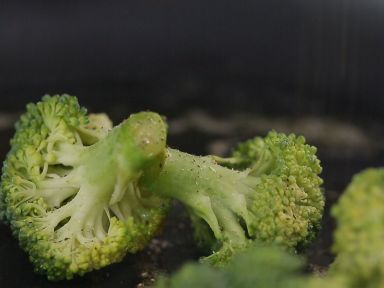 ��ʽ���ţ�ŵ�����