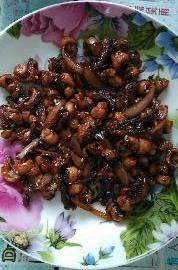 �����ζ���㣨��ͥ��������