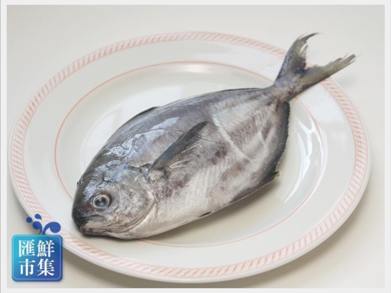 ��ͭ�庣�ʡ����������������