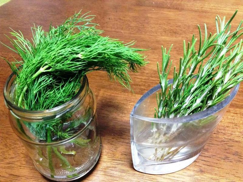 �Ե������ţ���ƻ����н���������