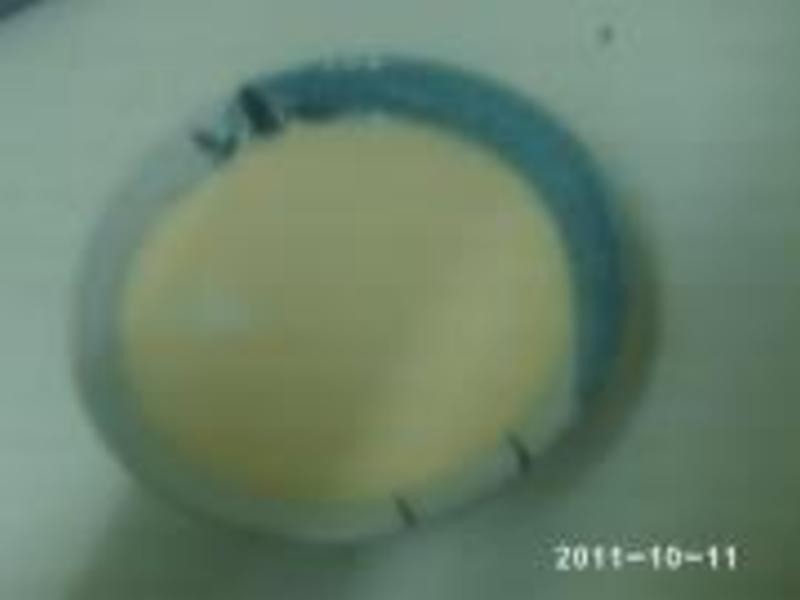 ����������׽�������