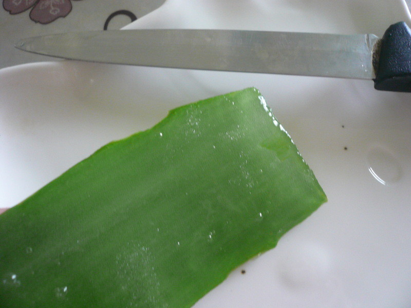 «������C����������