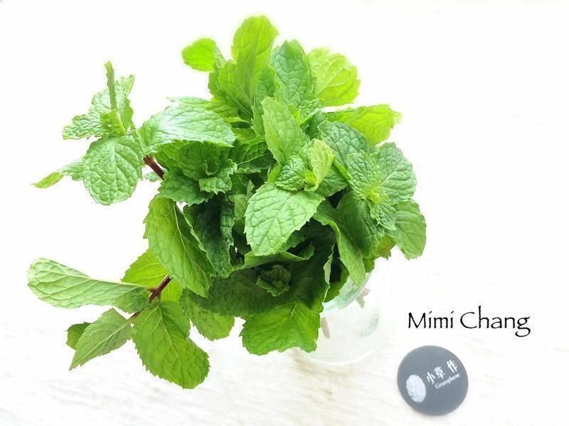 Mimi?�����㽶�ɱ���С������������