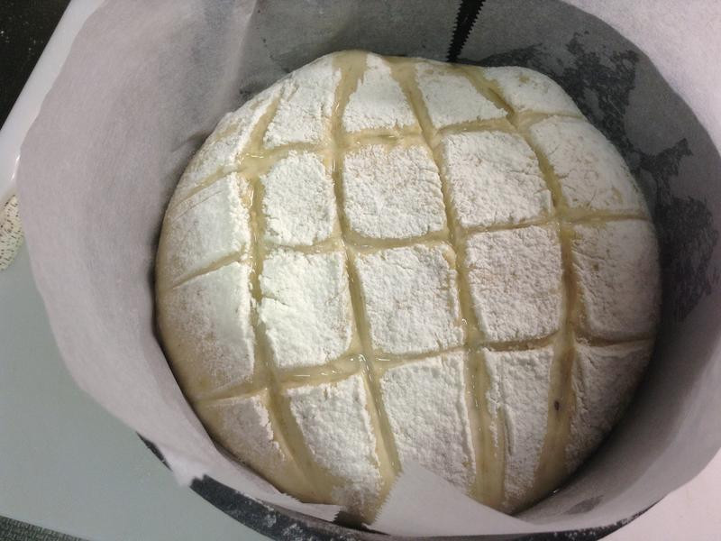 ����������е�����