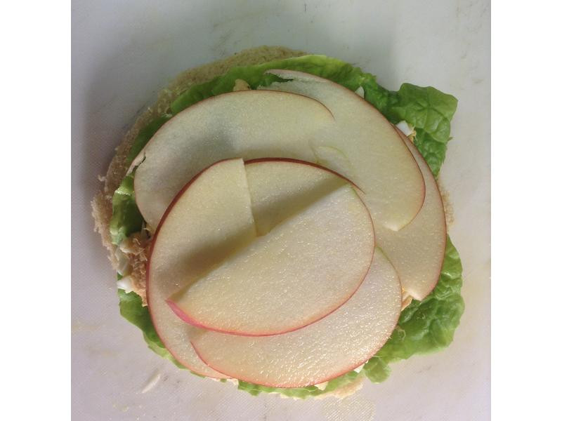 ����������е�����