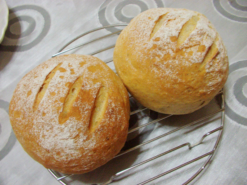 ����������������