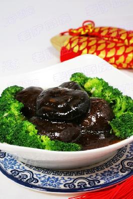 ����㹽������������