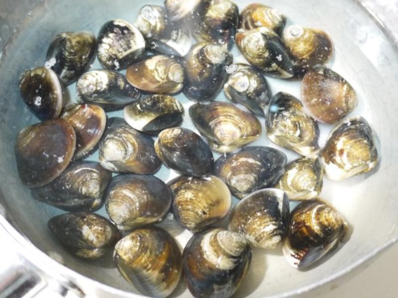 �����ɴ�Ũ��-�����������������