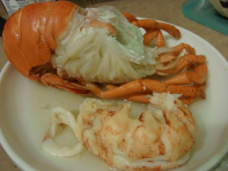 ����Ϻ������