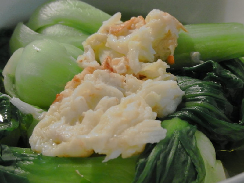 ����Ϻ������