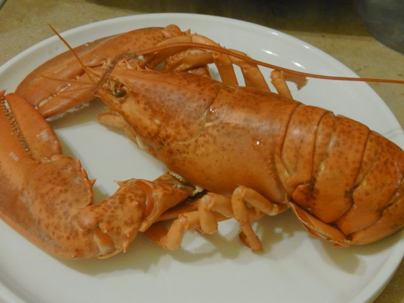 ����Ϻ������