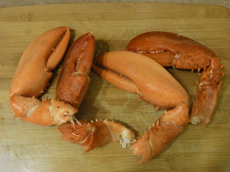 ����Ϻ������