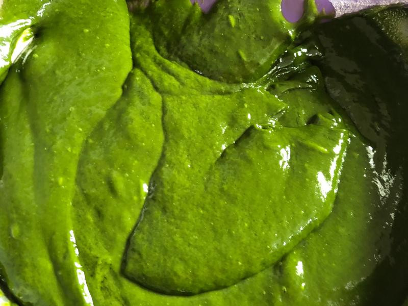 ��ɯĨ����۵��������