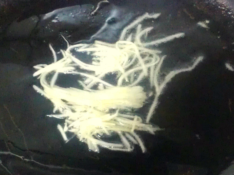 ��载�ϵ�����