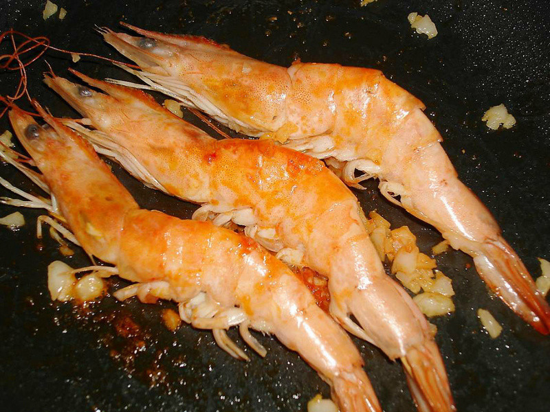 ����ɯɯ��������Ϻ������