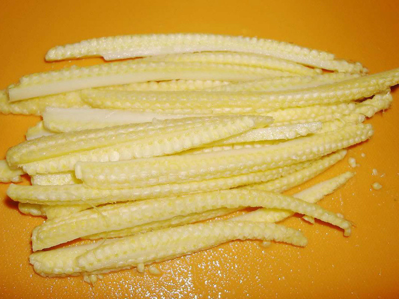 ����ɯɯ��������Ϻ������