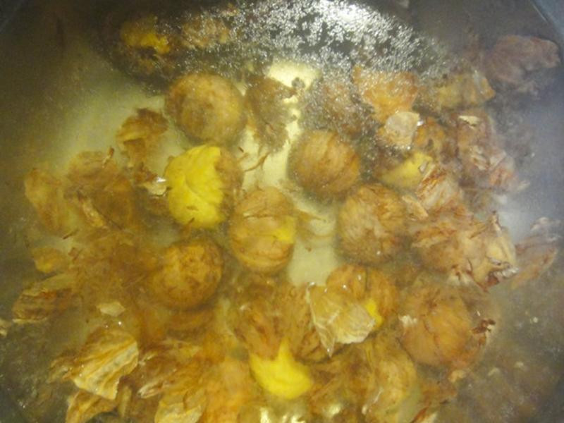 �����㹽����������