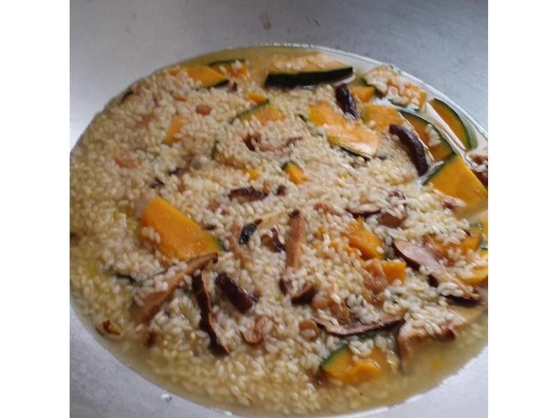 �����Ϲ��Ʒ�������