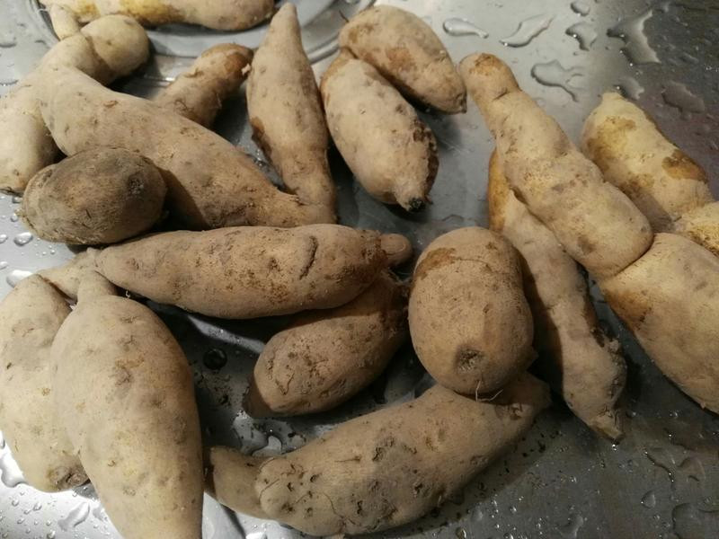 ���Ƿ���������