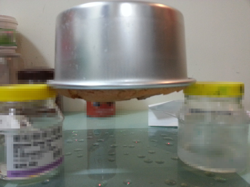 ���ʷ����ݷ絰�������