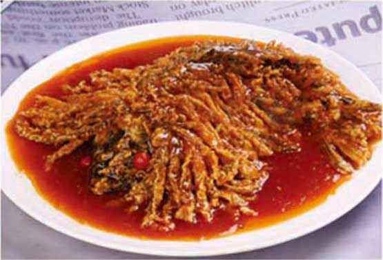 ��ëʨ���������