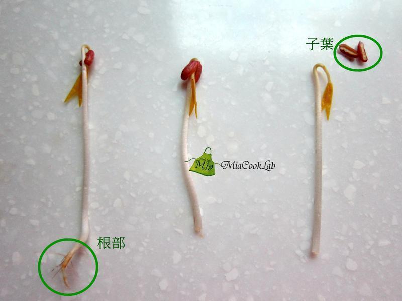 �����⳴��ѿ������