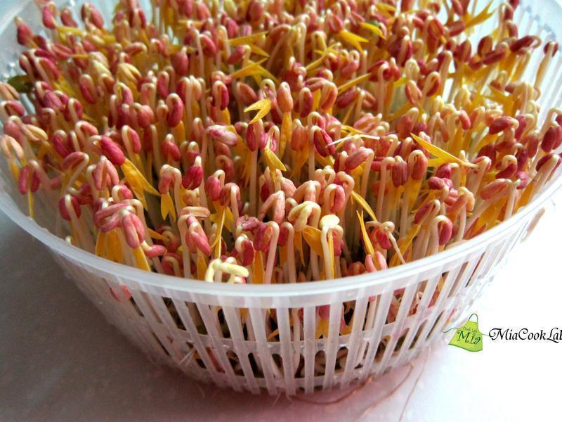 �����⳴��ѿ������