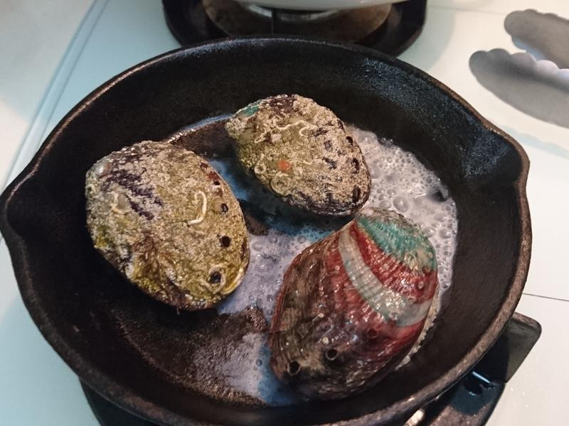 �ɼ屫������¶��������