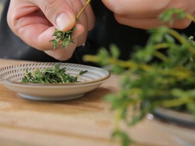 ���������������