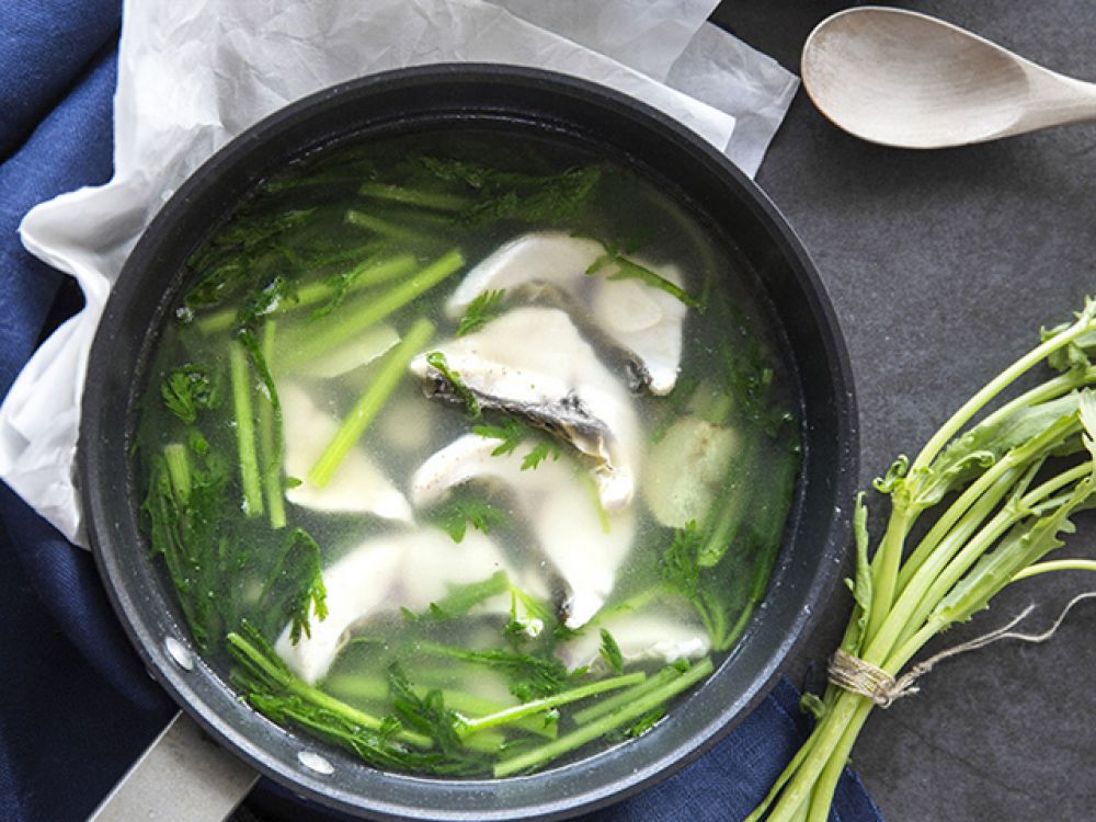 ������Ƭ��������