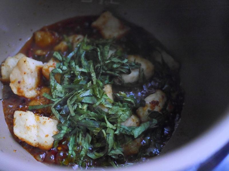 ����������Ƭ������