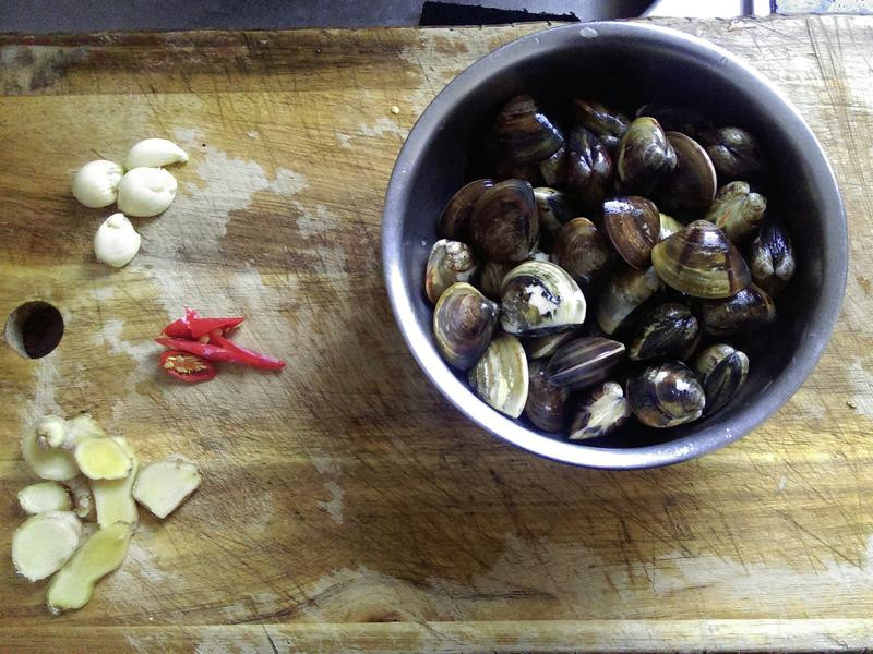 ������۵�����