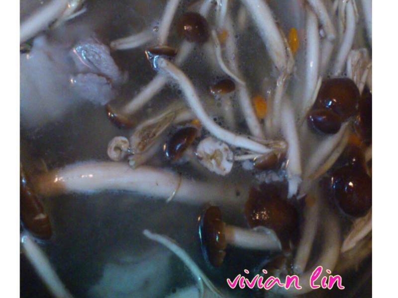 �����Źǹ�����������