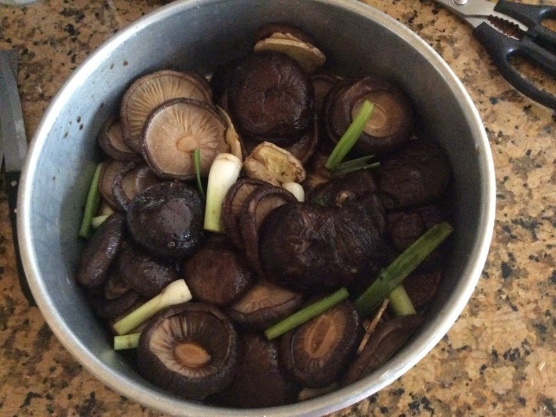 ���˫��������