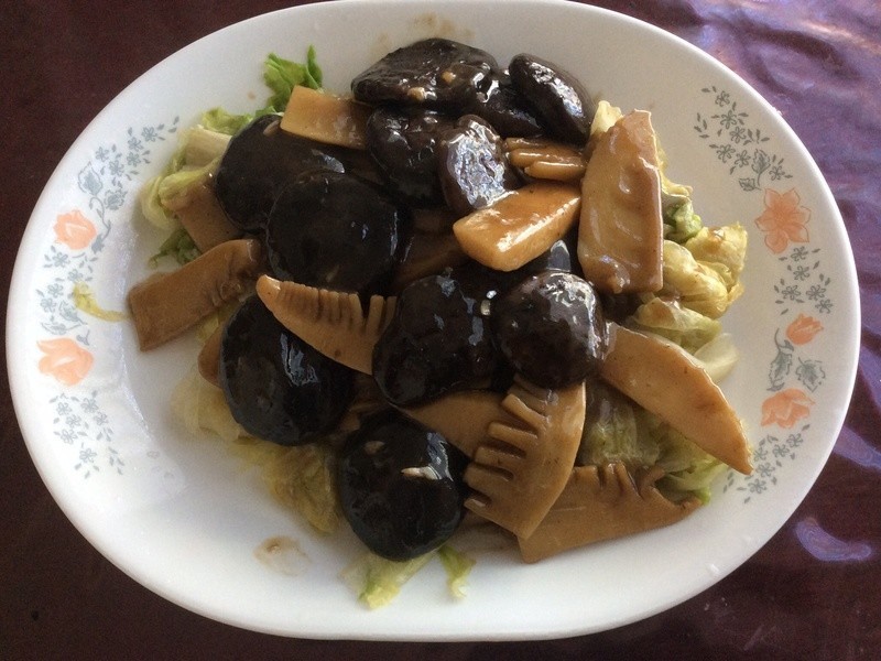 ���˫��������