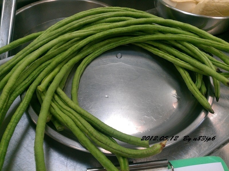 �����׶�������