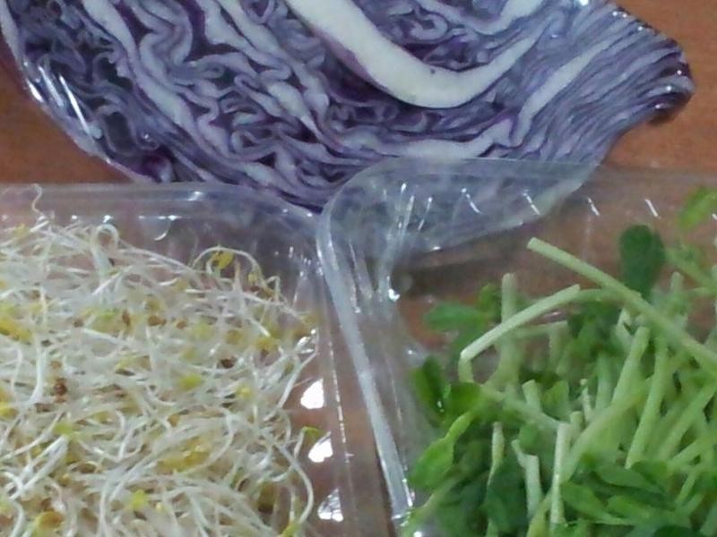 ��������Ϻɳ����������