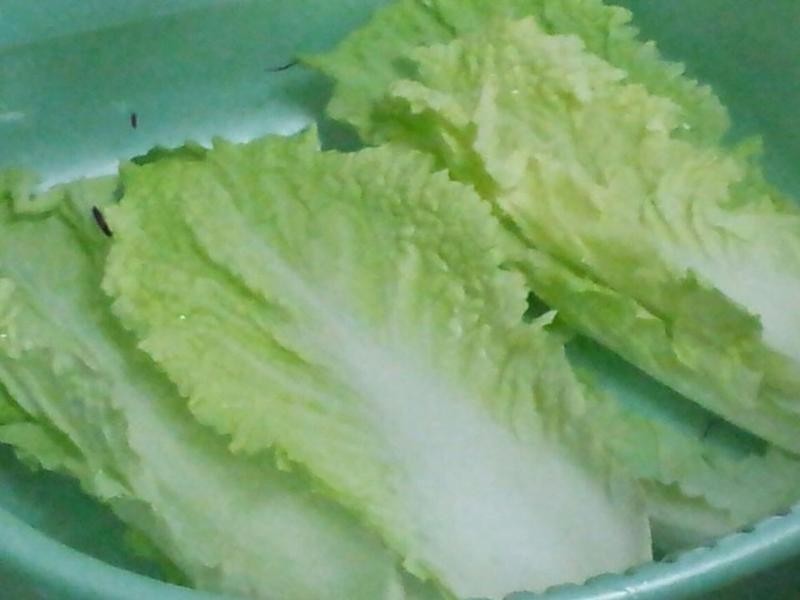 ��������Ϻɳ����������