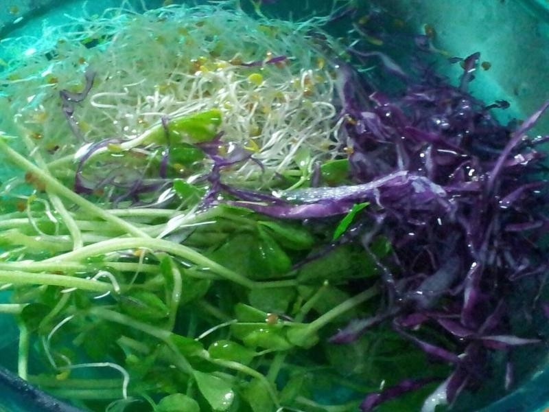 ��������Ϻɳ����������