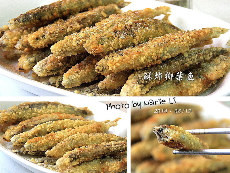 �����������ը��Ҷ�������