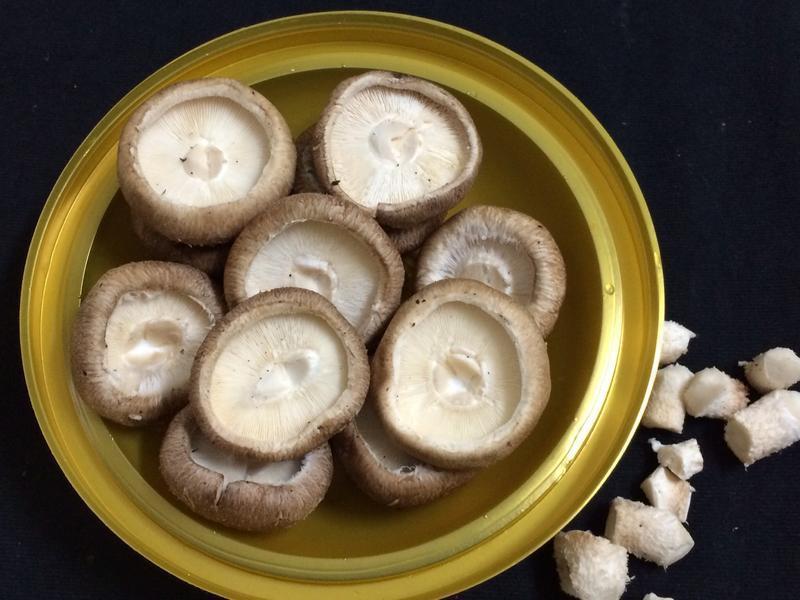 ���㹽���������