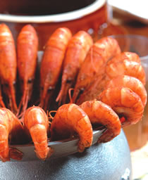 ����Ϻ������